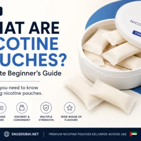 What Are Nicotine Pouches? The Complete Beginner's Guide (2026)