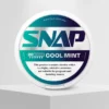 SNAP Cool Mint 20mg nicotine pouches can UAE